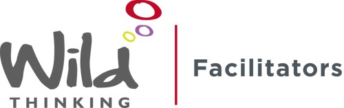 Wild Thinking Limited