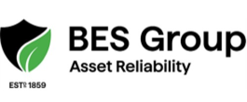 BES Group Asset Reliability (Strainstall)